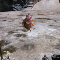 ��һ���溣��2