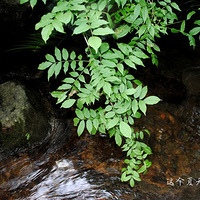 ��ô�Ȼ���ũ������