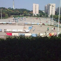 ��ѧ��ɹ�������