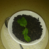 ��������ʳ