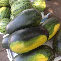 ���ϵ�ˮ�����