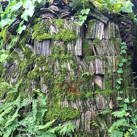 �ҿ���ɽ������