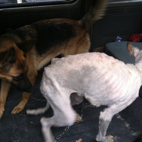 6.11Ű���¼�  ���һ�а���