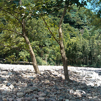 ���ܡ���û��