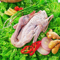 ��Щ�����������ﴫͳϰ��