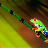  �����е����ܺÿɰ���