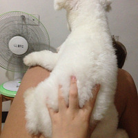 ���ֵ�2b���