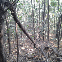 ����˫��ѡһ����ɽ