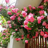 ǾޱǾޱ������~~~~