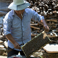 ��Եķ��ۺͷ���������ô���ģ����˽�������