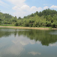 ȫ��ɣ������䴫���¼֮��