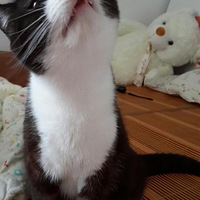 ���졢�������򿨡���2013��7��