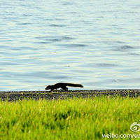  С������ˮ�ȣ�