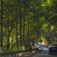 Զ�붼��,ȥ��ɽ����һ��,ӵ������Ȼ