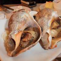 ��������ʳ