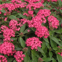 ʢ�ŵķ��ǻ�~~ 