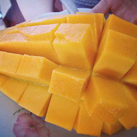 ��������ʳ