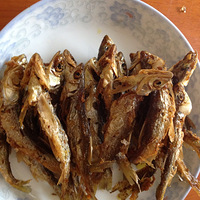 �����˽������Ұ����