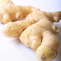 �糿�Խ�������