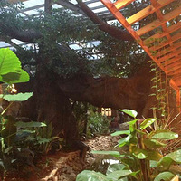 ��̬�����������򣬰�Ӵ��ζ������Ŷ��