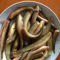 �����˽��֮����Ұ����