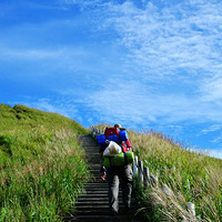 ���������书ɽ--���ƺ�,�Ͳݵ�