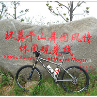 ��һ�������й�ʯ�� ��