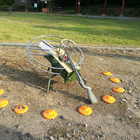 �ɵ�������