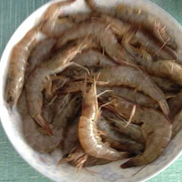 ����˽��֮�����Ϻ