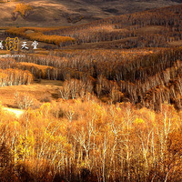  �������-��������