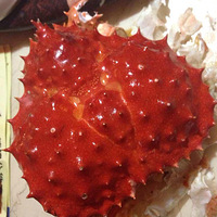 ��������ʳ