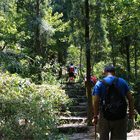 ��������ɽ���ͱڷ�ӥ��