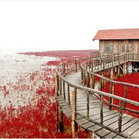 �𾪵��̽��캣̲