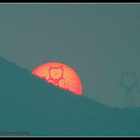 ������Ϧ��