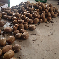 С�Ի�ɹ��ʳ֮ũ������⨺���