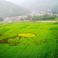 ��������ǧĶ��