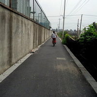 [�˽Ų������Щ������һ��ϵĳ�