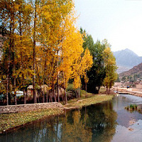  �����ĵ���������ұ�����μ�