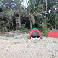 ���������г�����֮��������