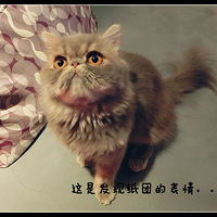 ���Ҽ��������milouͯЬ�Ǹ�¥~