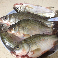 ����˽��֮����Ұ����