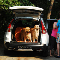 ���ݽ�ëѰ��Ȯ���ֲ�2013������Ӫ