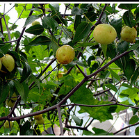 �ҵܼܵҵ� ������  �� 