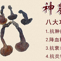 ��ũ���ز� ��ʳɽ�� ��ͳ�̲� �������� ������Ѫ