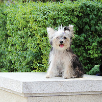 ������������������ ���� ����.   -Poppy  