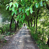 ������ᵺ