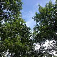 �����տ�  ������ɽ