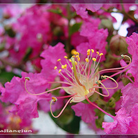 �Ұ������ҵĻ�֮����ޱ����