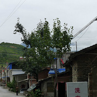 ��ɫ֮·(����-ţ��ɽȫ��ͽ����)