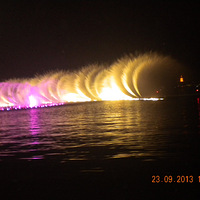 ��������������Ȫ